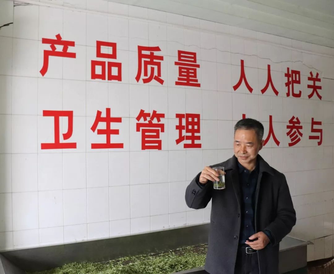 *花采**毛尖春茶今日开园，首批茶农搭上茶产业扶贫直通车