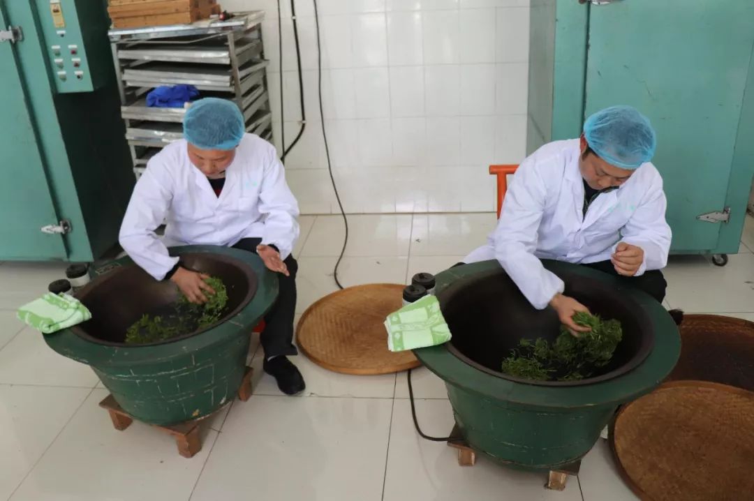 *花采**毛尖春茶今日开园，首批茶农搭上茶产业扶贫直通车