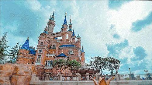 上海70岁老人免费景点大全,上海自驾游免费景点