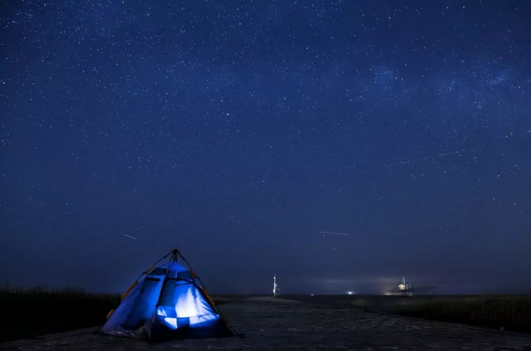 上海70岁老人免费景点大全,上海自驾游免费景点
