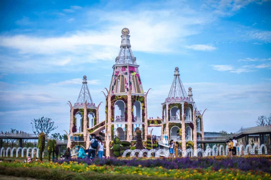 上海70岁老人免费景点大全,上海自驾游免费景点