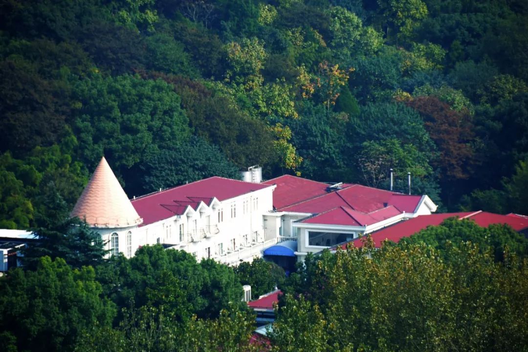 上海70岁老人免费景点大全,上海自驾游免费景点