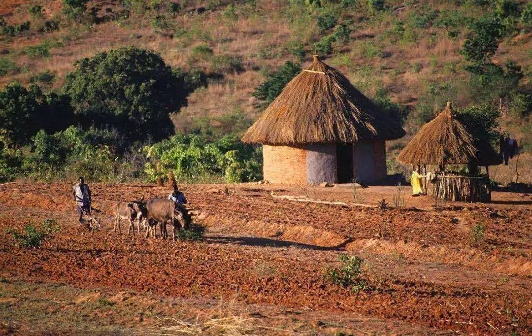 鎶ゅ＋琚壘鍏归拡澶存墡浜嗗涔呰兘鎶借,鏈腑琚拡鍒轰激