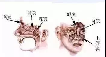 期待3月,期待3月的到来