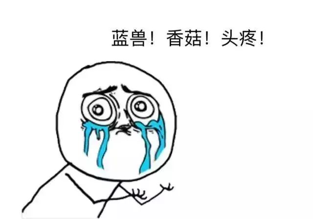 期待3月,期待3月的到来