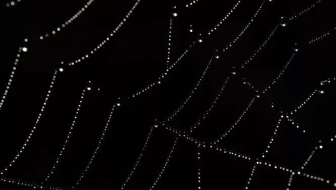 起底714高炮：炒房团放贷，“云追杀”催收，学生*党**复仇