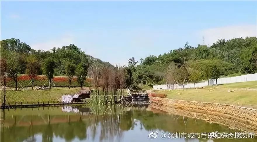 深圳将打造顶级地标,深圳超级地标