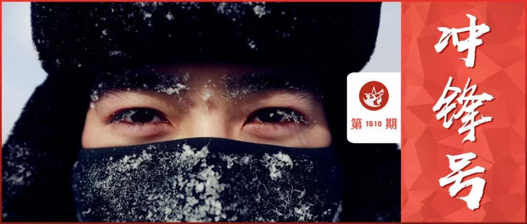 今天这篇文章很假！