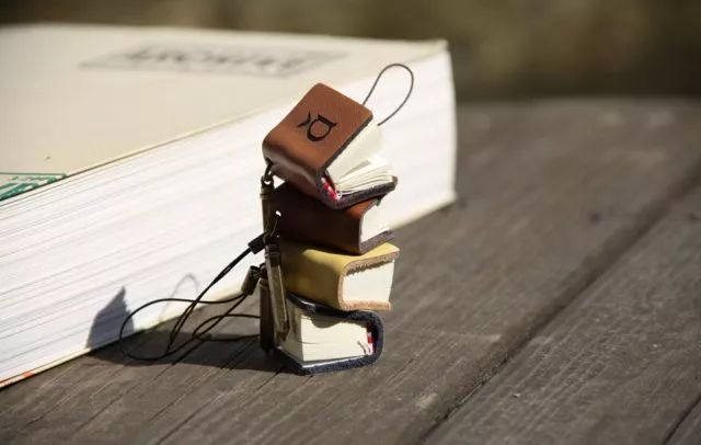 小学英语单词按48个音标分类,48个音标对应的音节