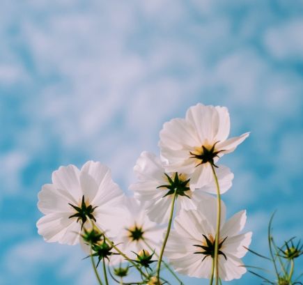 春天关于朋友的诗,送你一首有关春天的诗