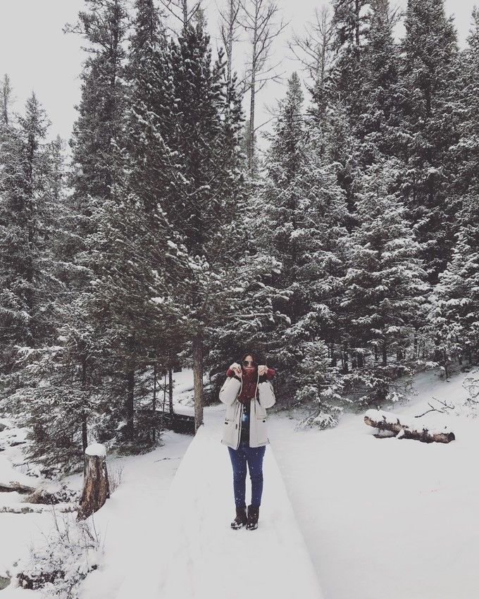 喀纳斯秋雪美景,喀纳斯雪国