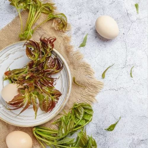 春天里最美的味道,春天里金华