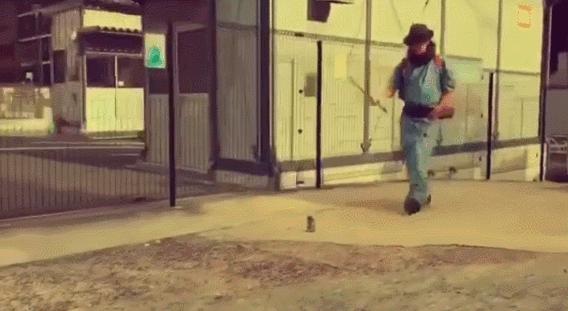 日本干净没有垃圾是真的,日本无垃圾生活