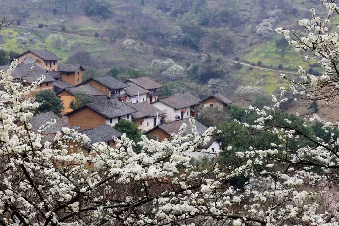 广西有座小城,广西隐藏千年小城