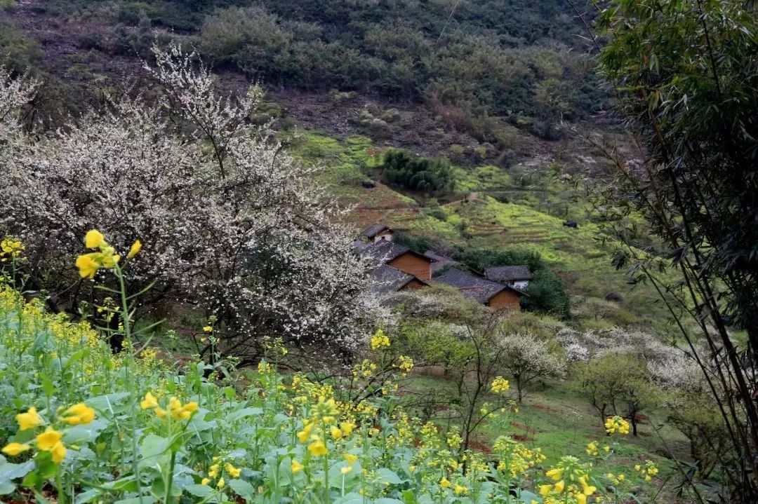 广西有座小城,广西隐藏千年小城