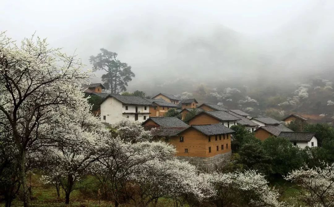 广西有座小城,广西隐藏千年小城