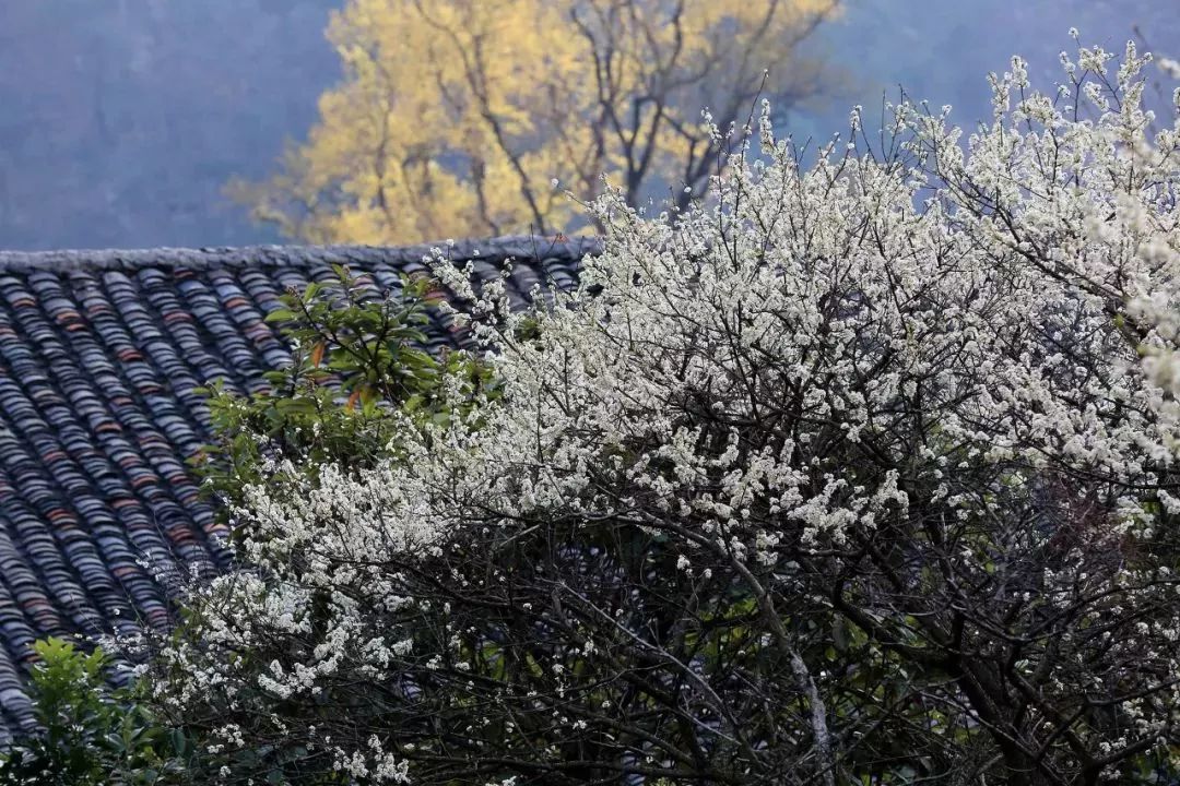 广西有座小城,广西隐藏千年小城