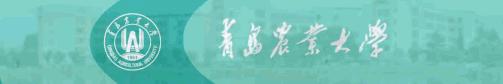 青岛农业大学游玩攻略,青岛农业大学新生攻略