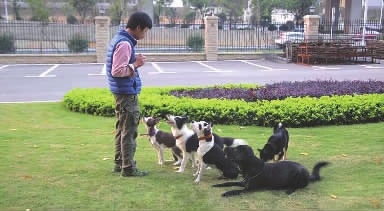 酒店试睡员盈利模式,酒店试睡员靠什么赚钱