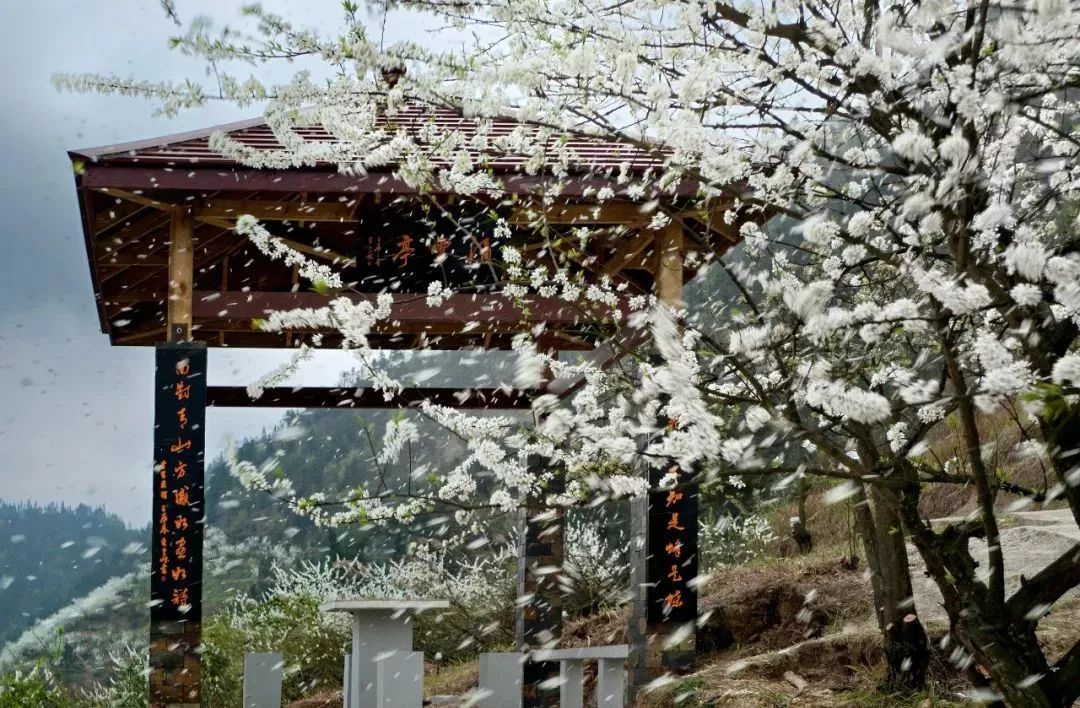 统景温泉除了泡温泉还可以干嘛,统景温泉游玩