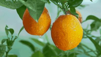 统景温泉除了泡温泉还可以干嘛,统景温泉游玩