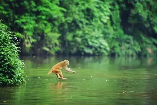 统景温泉除了泡温泉还可以干嘛,统景温泉游玩