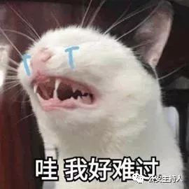 佛山驾校合格率前10强出炉!公安部门公布考照秘笈,拿好不谢