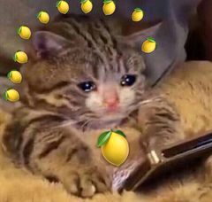 李佳琦到底用“OMG”骗了多少人的钱？！！