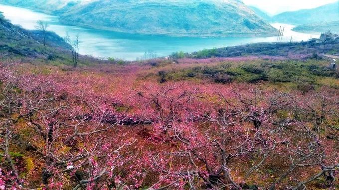 普定发生的事最新消息,普定最新消息