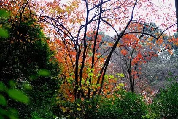 普定发生的事最新消息,普定最新消息