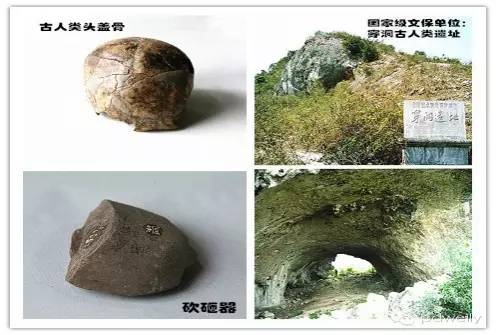 普定发生的事最新消息,普定最新消息