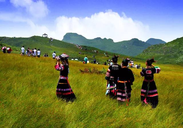 普定发生的事最新消息,普定最新消息