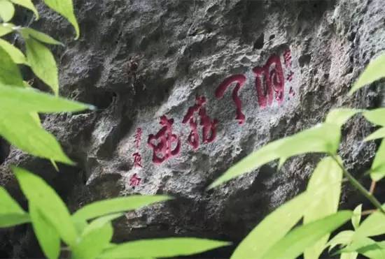 普定发生的事最新消息,普定最新消息