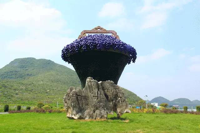 普定发生的事最新消息,普定最新消息