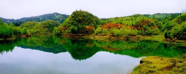 普定发生的事最新消息,普定最新消息