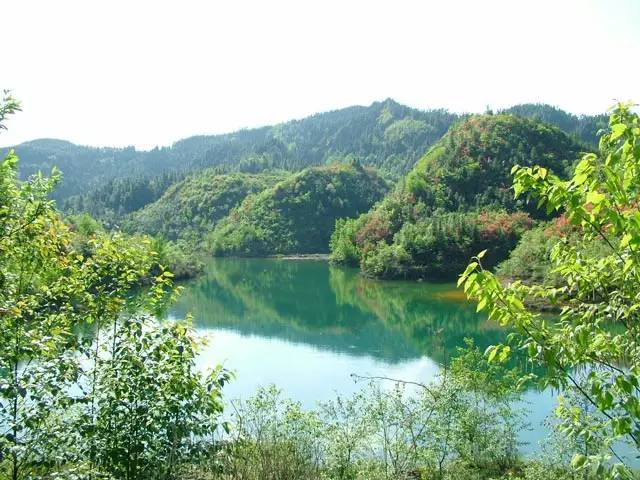 普定发生的事最新消息,普定最新消息