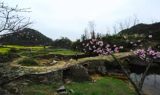 普定发生的事最新消息,普定最新消息