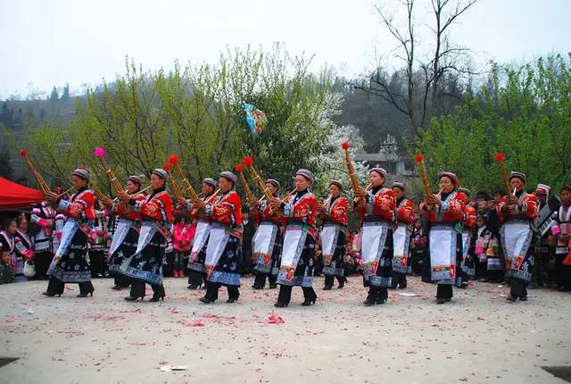 普定发生的事最新消息,普定最新消息