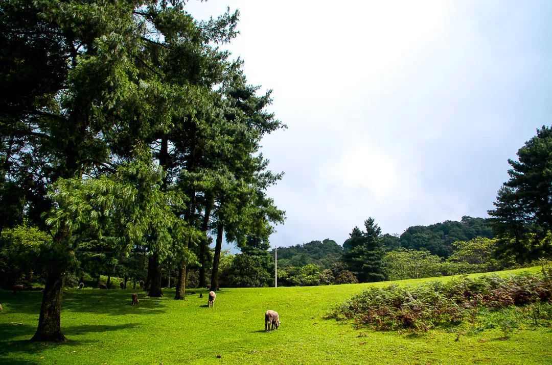 曲靖全国十大宜居城市第一,曲靖荣获多少次全国十大宜居城市