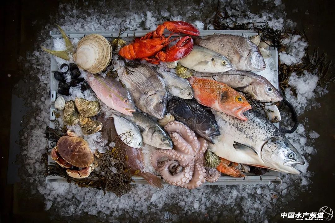 速冻海鲜和慢慢冻的区别大么,活海鲜怎么速冻