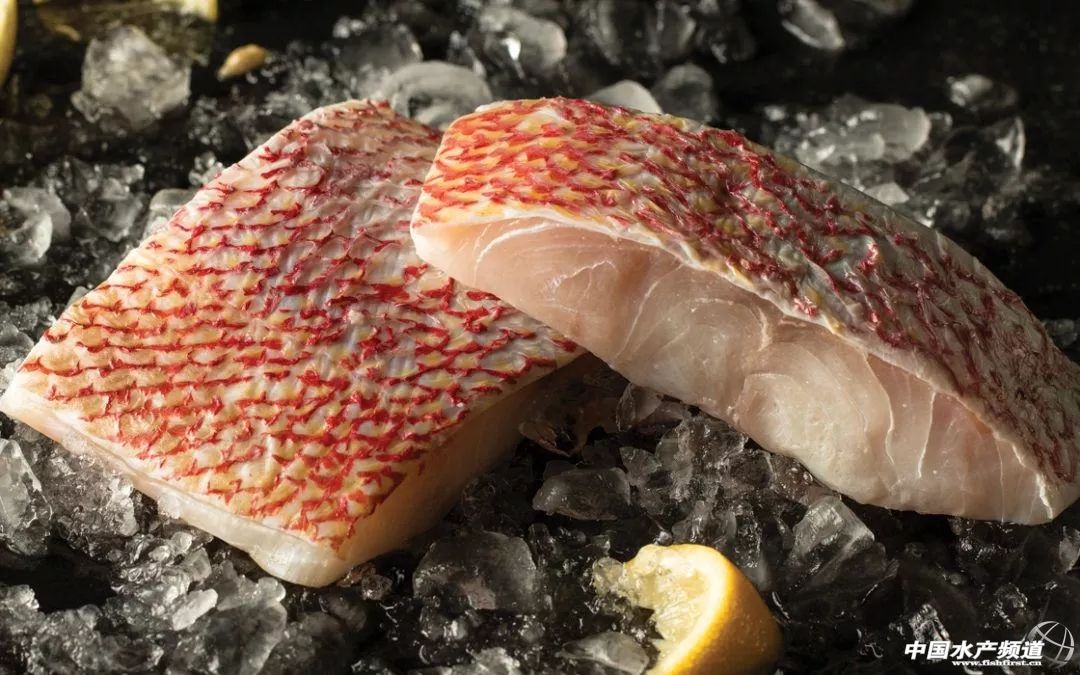 速冻海鲜和慢慢冻的区别大么,活海鲜怎么速冻