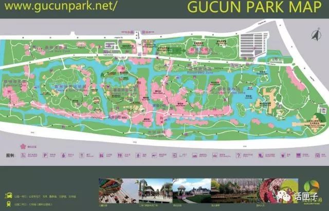 万花丛中，拍照选哪枝？话匣妹手把手教你过春天