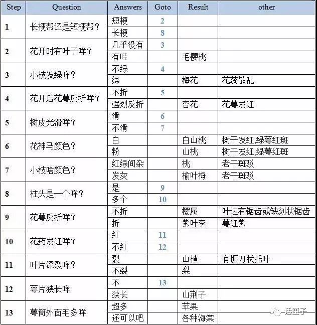 万花丛中，拍照选哪枝？话匣妹手把手教你过春天
