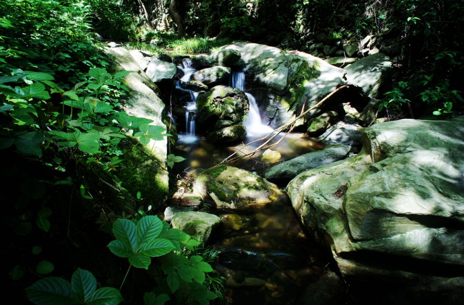 十堰春游必去十大景点图片,春游去哪玩十堰