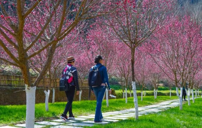 十堰春游必去十大景点图片,春游去哪玩十堰