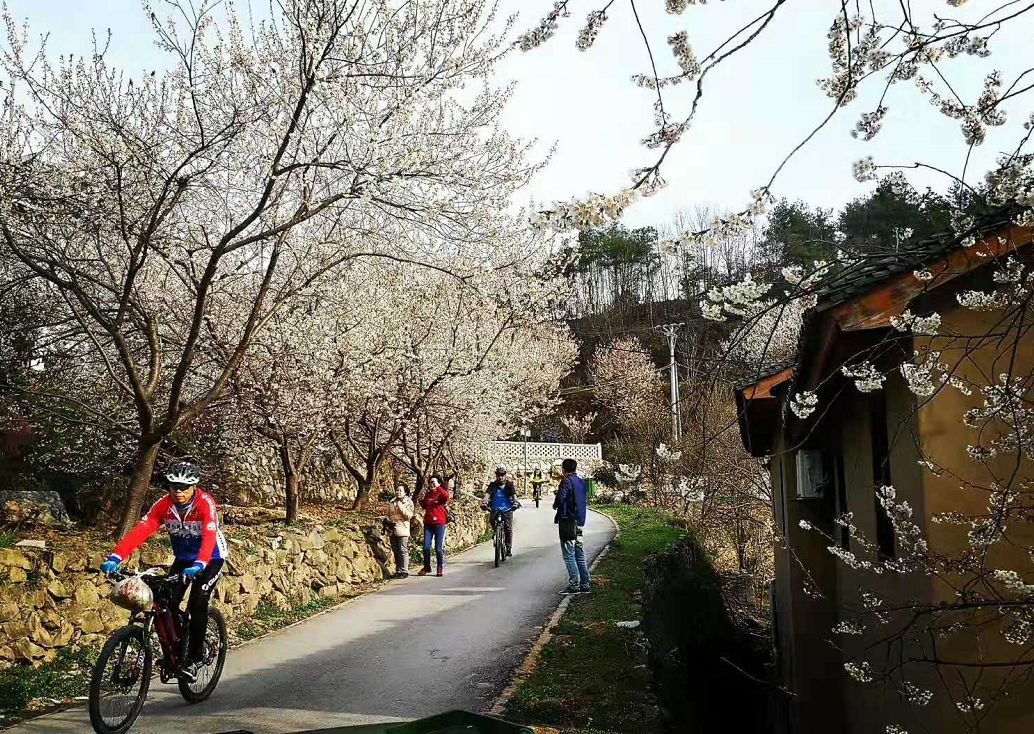 十堰春游必去十大景点图片,春游去哪玩十堰