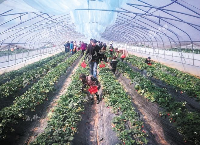 十堰春游必去十大景点图片,春游去哪玩十堰