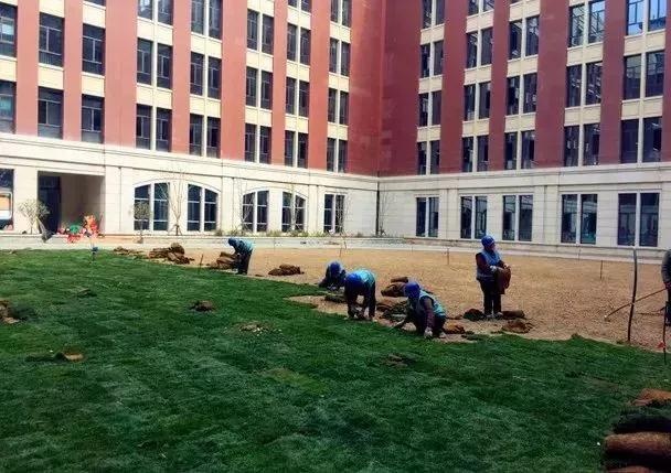 交大落户沣西新城,西安交大创新港预计入住人数