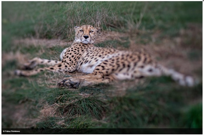 lensbaby镜头,lensbaby怎么换镜头