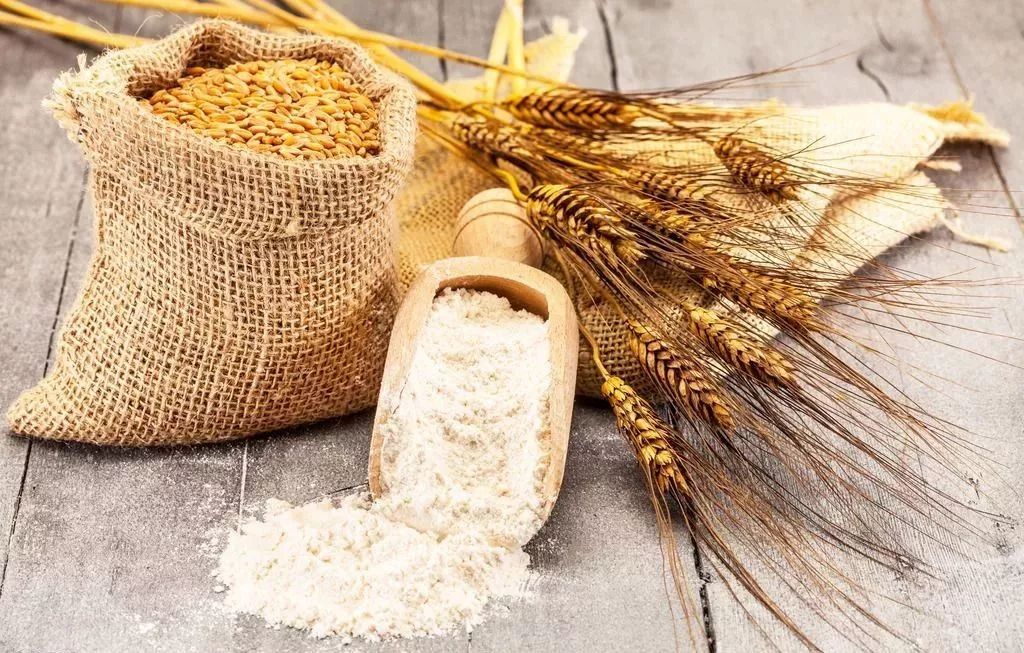 河套小麦知识,河套小麦为啥好